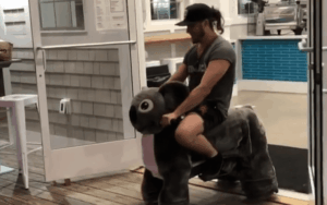 Popular Indie Star Gets Caught Trying To Hijack Mechanical Horse