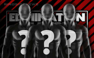 Possible Entrants In WWE Women’s Tag Team Title Elimination Chamber Match