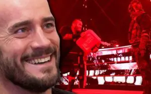 CM Punk Comments On Bray Wyatt & Randy Orton Feud