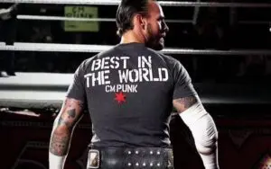 CM Punk Says The Pro Wrestling World Doesn't Necessarily Need Him