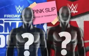 WWE Lied To Superstars About Being On The Chopping Block For Release