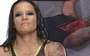 Shayna Baszler Paints Great Analogy About AEW Blood & Guts