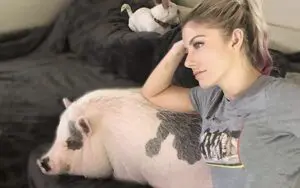 Alexa Bliss' Pet Pig Larry Steve Passes Away