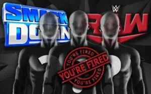 WWE Discussed Releasing A Lot More Veteran Superstars