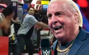 Fight Clip Goes Viral After 'Ric Flair Chop' Resurfaces
