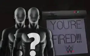 Released WWE Superstars Already Have Big Interest Elsewhere