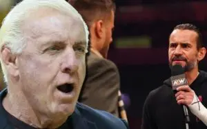 Ric Flair Criticizes CM Punk & MJF Promo For Bringing Up WWE