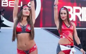 Fans React To The Bella Twins' WWE Royal Rumble Return