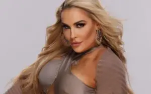 Natalya Stuns In Seductive Grey Dress Photo Drop