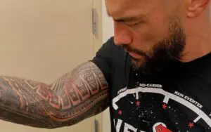 Roman Reigns Was Covered In Brock Lesnar's Blood After Brutal Madison Square Garden Attack