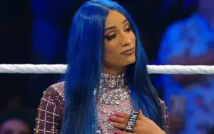 Sasha Banks Said She Gets 'The Respect She Deserves' In WWE Before RAW Walk Out