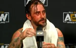 CM Punk Called 'Selfish & Arrogant' By WWE Stars After Backstage Fight With The Elite