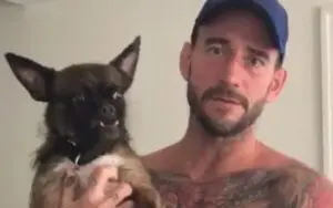 CM Punk's Dog Larry Was Hurt During All Out Backstage Brawl