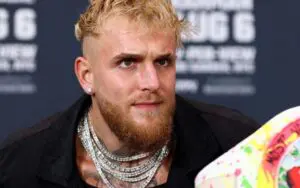 Jake Paul Receives Unexpected New Challenge From WWE NXT Roster