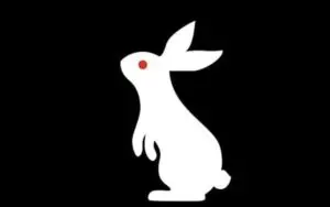 WWE Interested In Future Storylines Similar To Bray Wyatt's 'White Rabbit'