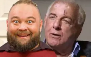 Ric Fair Doesn't Understand Why WWE Released Bray Wyatt In The First Place
