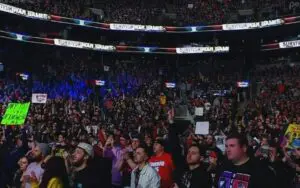 Triple H Touts WWE Survivor Series WarGames Attendance