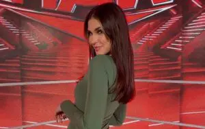 Cathy Kelley Reveals What Brought Her Back To WWE