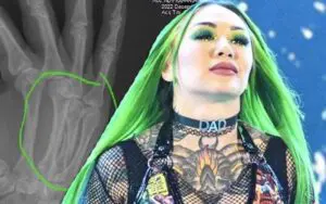 Shotzi Blackheart Shares X-Ray Of Injured Hand