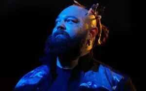 Bray Wyatt Acknowledges Fan's Fear That WWE Will Release Him Again