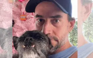 CM Punk Finally Takes Down His Pink Christmas Tree