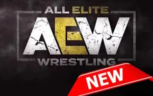 Timeline For AEW's New Television Show Revealed