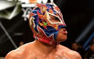 Rey Fenix's Injury Status and Potential In-Ring Return