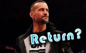 CM Punk Has Pitched 'Numerous Scenarios' For His AEW Return