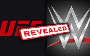 Corporate Structure Of New WWE & UFC Merger Revealed