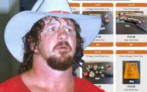 Terry Funk's Estate Goes On Public Auction With Some Off-The-Wall Items