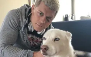 Cody Rhodes’ Beloved Dog Pharaoh Undergoes Surgery Cody Rhodes' Beloved Dog Pharaoh Undergoes Surgery