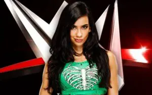 AJ Lee's WWE Comeback Still a Question Mark Following CM Punk Mention During 11/27 RAW