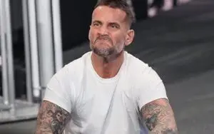 Multiple WWE Talent Upset After CM Punk's Survivor Series Comeback