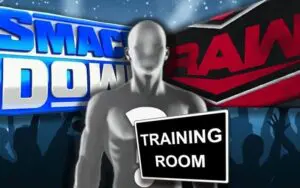 WWE Superstar's 4-Year-Old Son Has Started Pro Wrestling Training