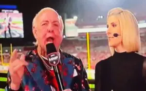 Ric Flair Makes Special Appearance on ESPN to Amp Up NFL's Wild Card Playoff Game
