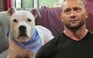 Batista’s Beloved Pet Undergoes Chemotherapy