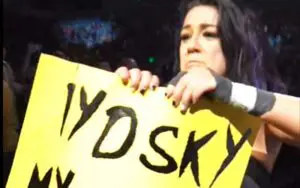 Bayley Shockingly Tears Up Young Fan's Sign During WWE Live Event