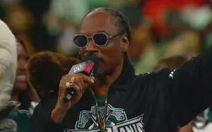 WrestleMania 40 Sunday Attendance Numbers Revealed