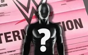 Another WWE NXT Release Confirmed