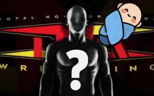 Couple Names Newborn Child After TNA Wrestling Star
