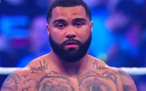 Gable Steveson Released By WWE