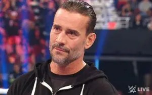 WWE Star Reveals How CM Punk Calmed Him Down After Injury Scare
