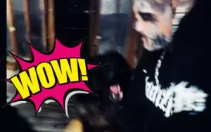 Dog Viciously Attempts to Take Darby Allin’s Nose Off Dog Viciously Attempts to Take Darby Allin’s Nose Off