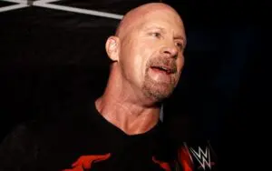 Steve Austin Was Allegedly Concerned Fans Wouldn't Remember Him Before WWE Return