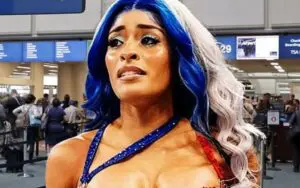 Zelina Vega Suffered Nightmare Experience at New York Airport