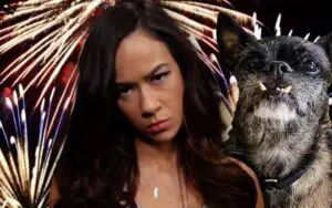 AJ Lee Ready to Square Up Over Scaring Her Pup Larry with July 4th Fireworks