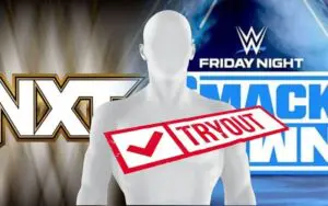 Former WWE Veteran Considered for Possible Backstage Position Former WWE Veteran Considered for Possible Backstage Position