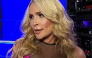 Natalya's Current WWE Return Status Amidst Extended Television Absence