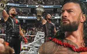 Roman Reigns Had Heavy Influence on Outcome for Ladder Match During 10/4 WWE SmackDown