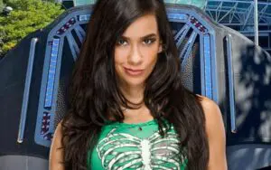 WWE's Current Stance on AJ Lee's Potential Return Revealed